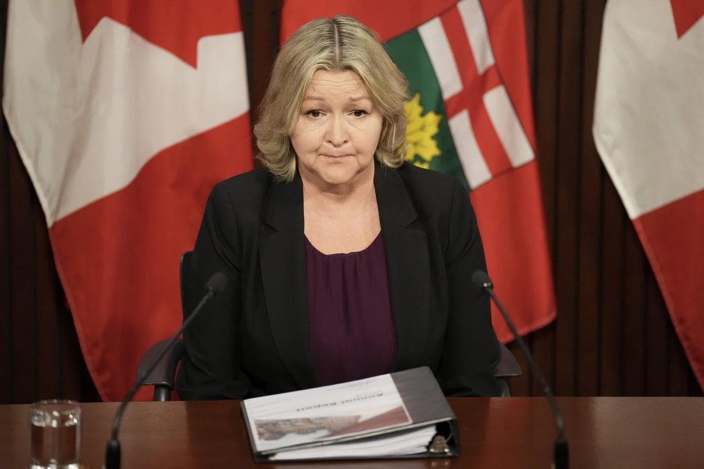 Ontario auditor general to release annual report, with focus on health care