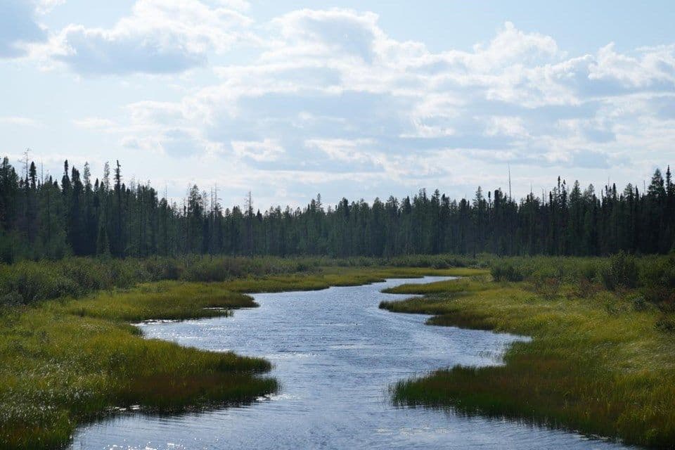 Ontario First Nation chiefs ask for moratorium on mining claims