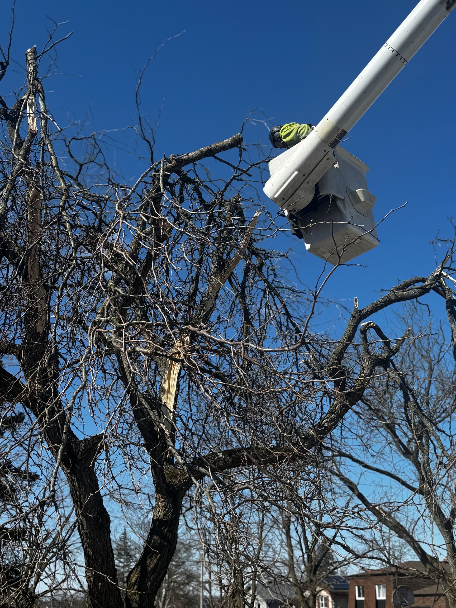 Barrie faces long road to recovery after devastating ice storm