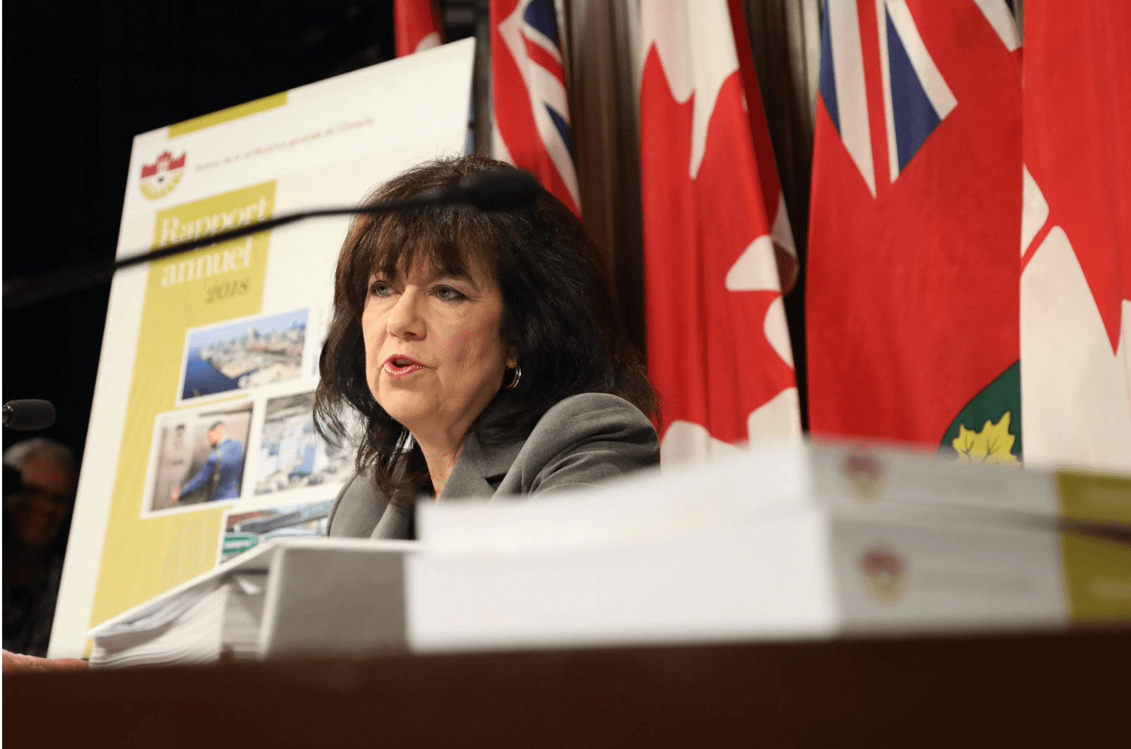 Ontario opposition parties use new report to blast Ford’s record on environment