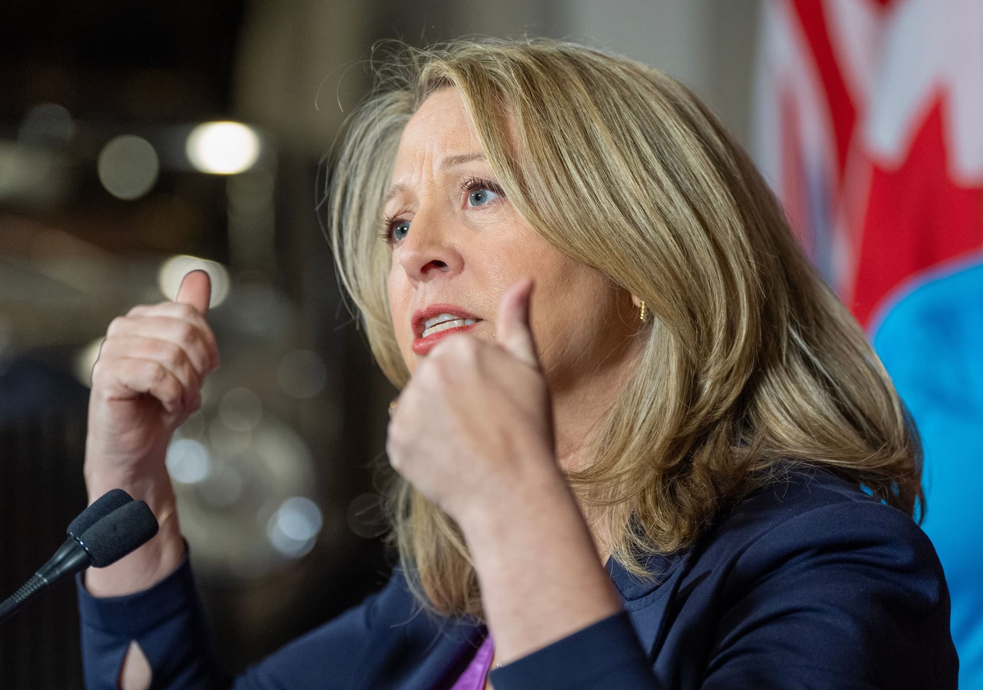 Ontario votes: Stiles announces plan to face U.S. tariffs, but no details on cost