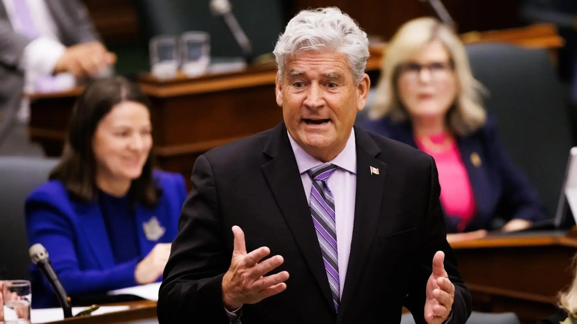 Ontario Liberal interim leader says nomination was fair, despite suspicion being raised by Liberal MP Nate Erskine-Smith