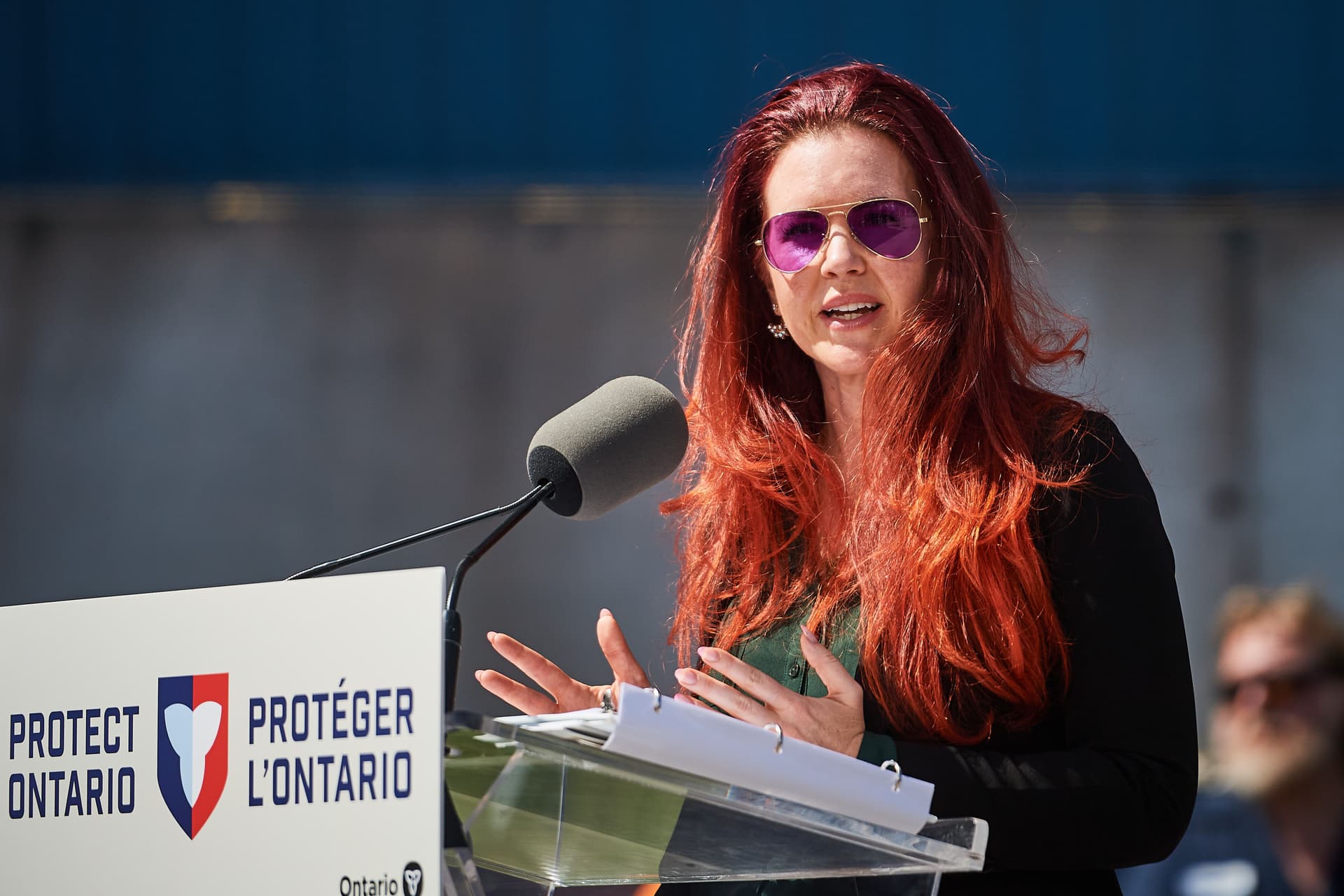 PC MPP Jess Dixon says tackling gender-based violence and prevention programs top priorities for next legislative session