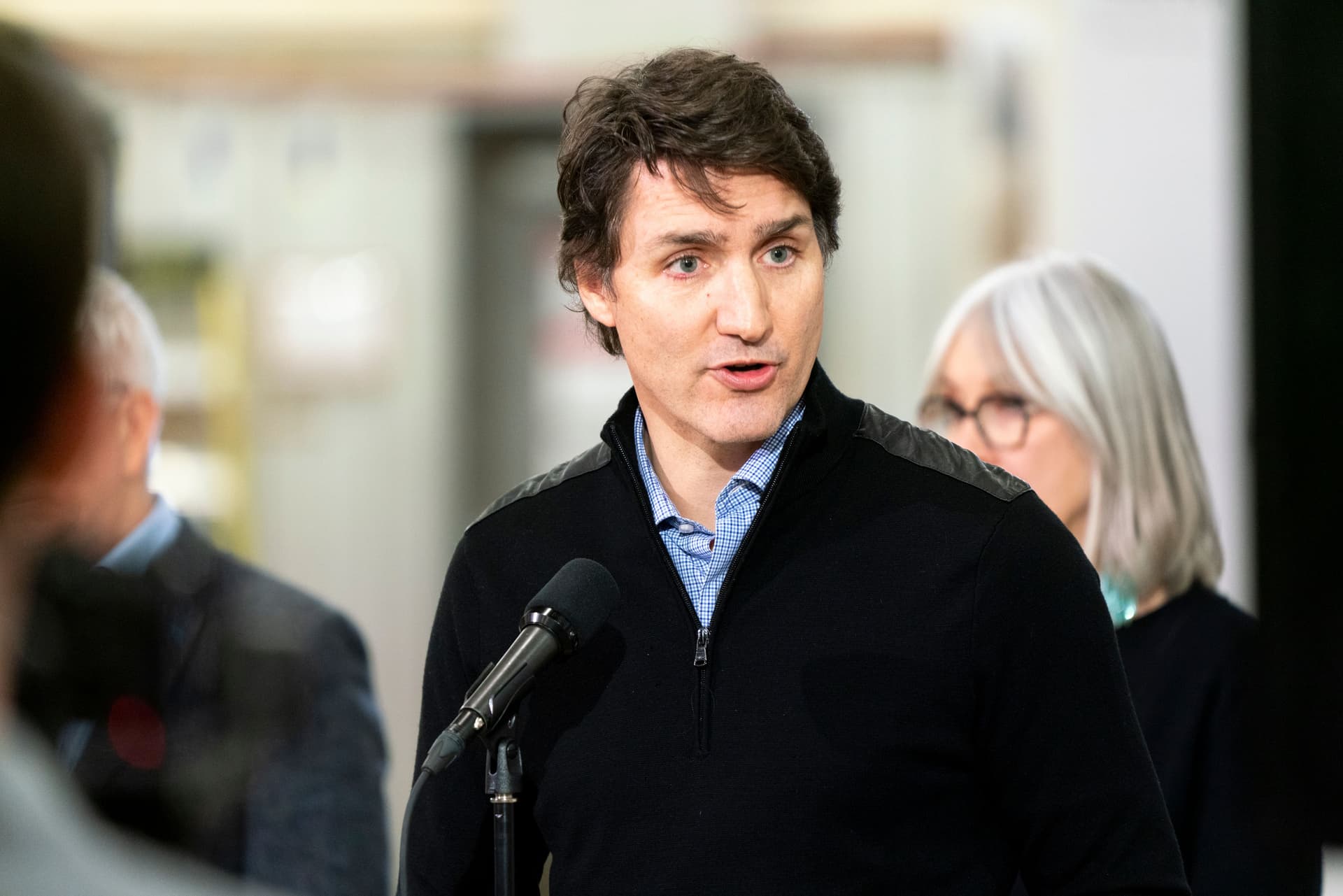 Liberals say their plan to ‘solve the housing crisis’ will build 3.9M homes by 2031