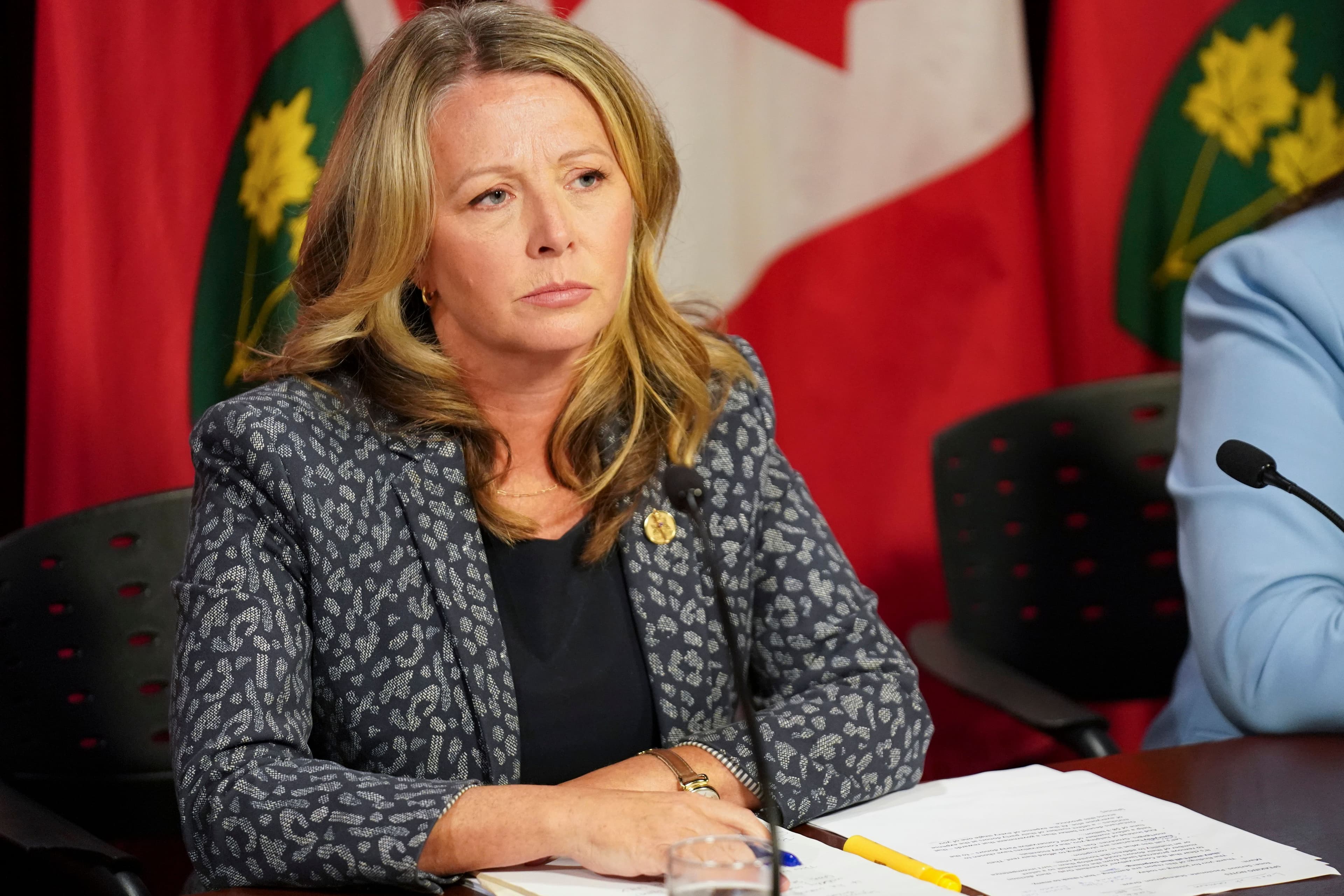 NDP calls for special audit into 'private-fee based health care'