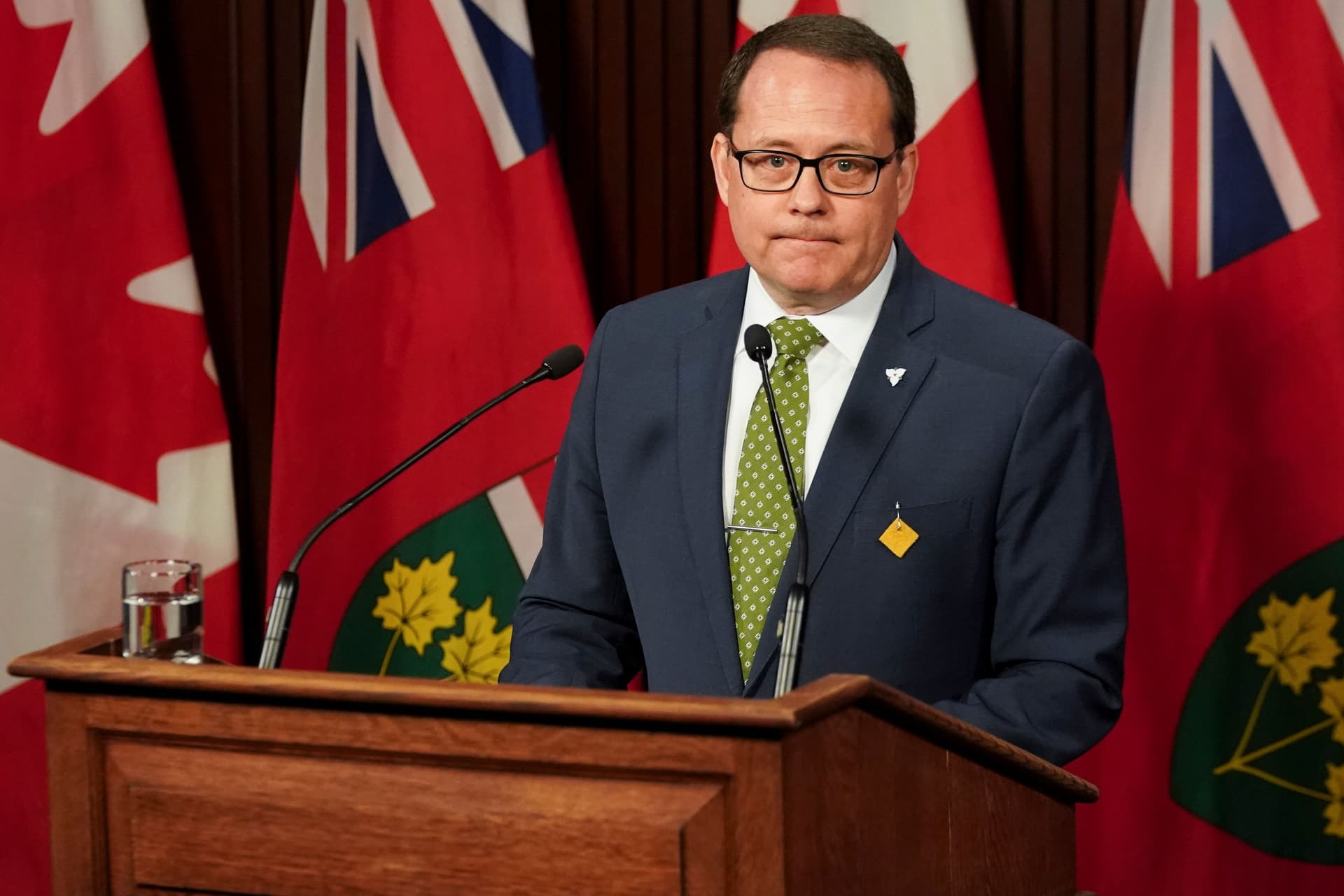 Green Leader Mike Schreiner calls for audit of government's overruling of OEB decision