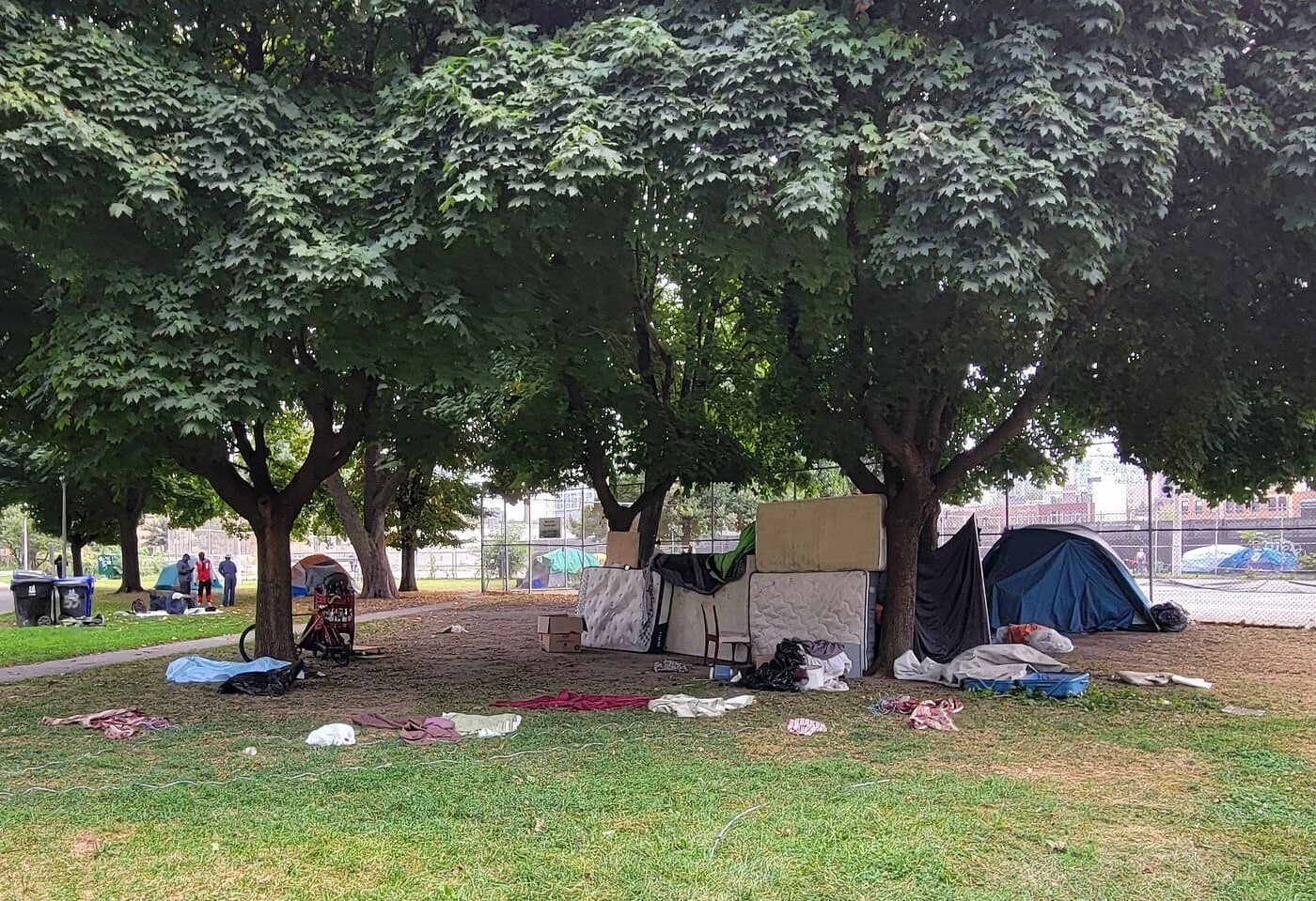 City of Hamilton begins clearing encampments from public property