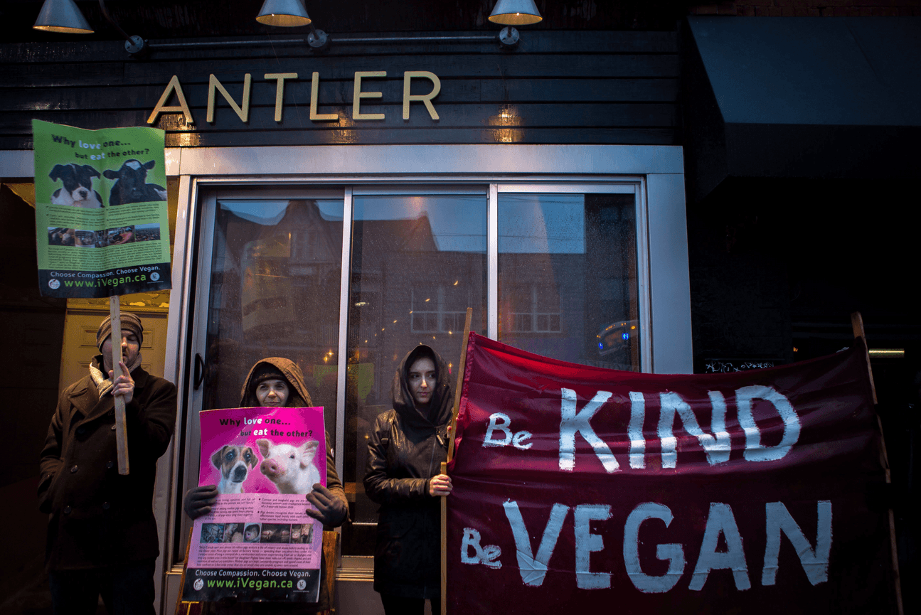 Who's lobbying for whom: Toronto restaurant wants to sell wild game to clientele