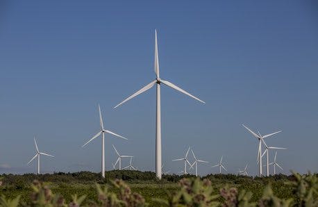Where do Ontario’s political parties stand on offshore wind power?