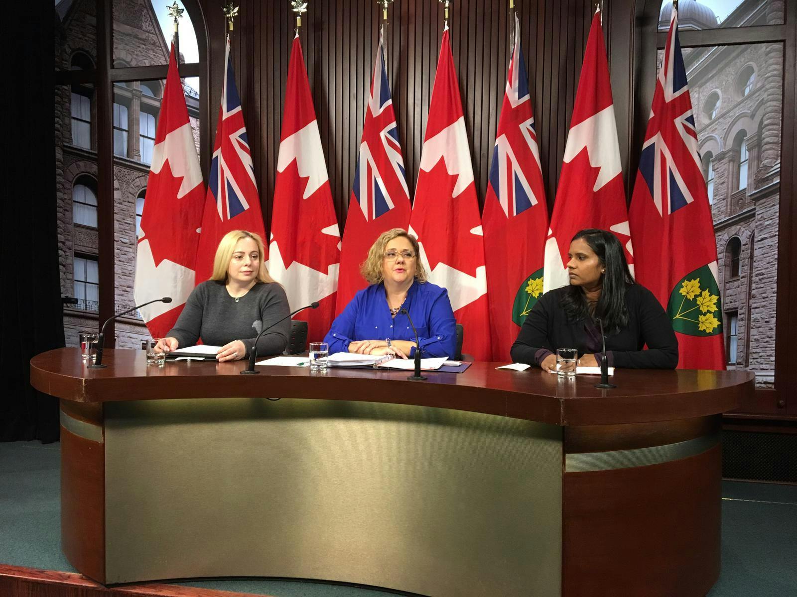 Ontario Autism Coalition asks government to fix ‘conflict of interest’ with provincial program