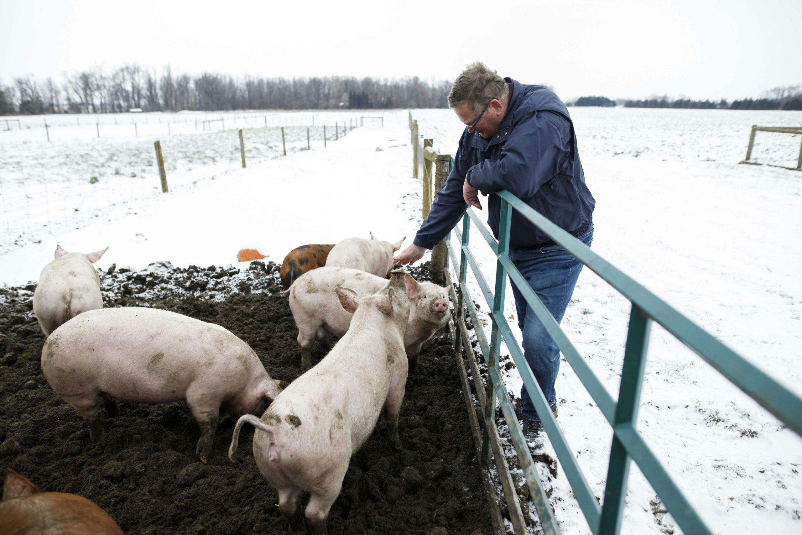 Ontario farmers, small business to collect carbon-price kickback