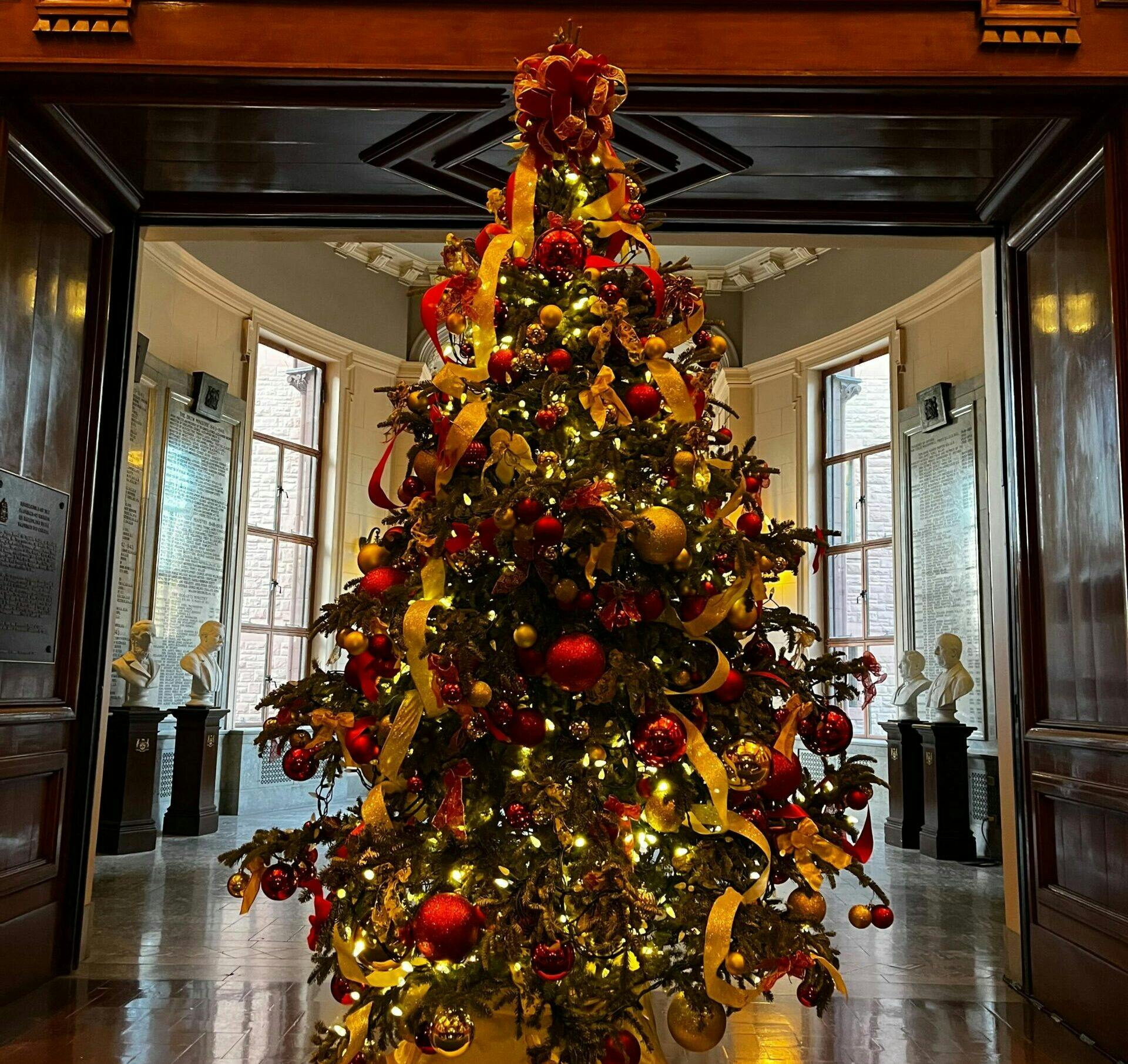 Ranking the 2022 Queen’s Park Christmas trees